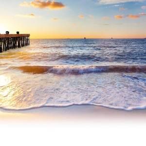 Meet your Posher, Jaison